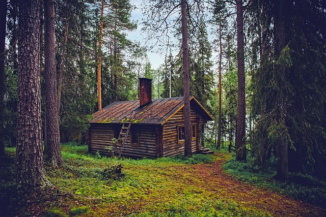Finland 2