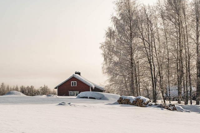 Finland 3
